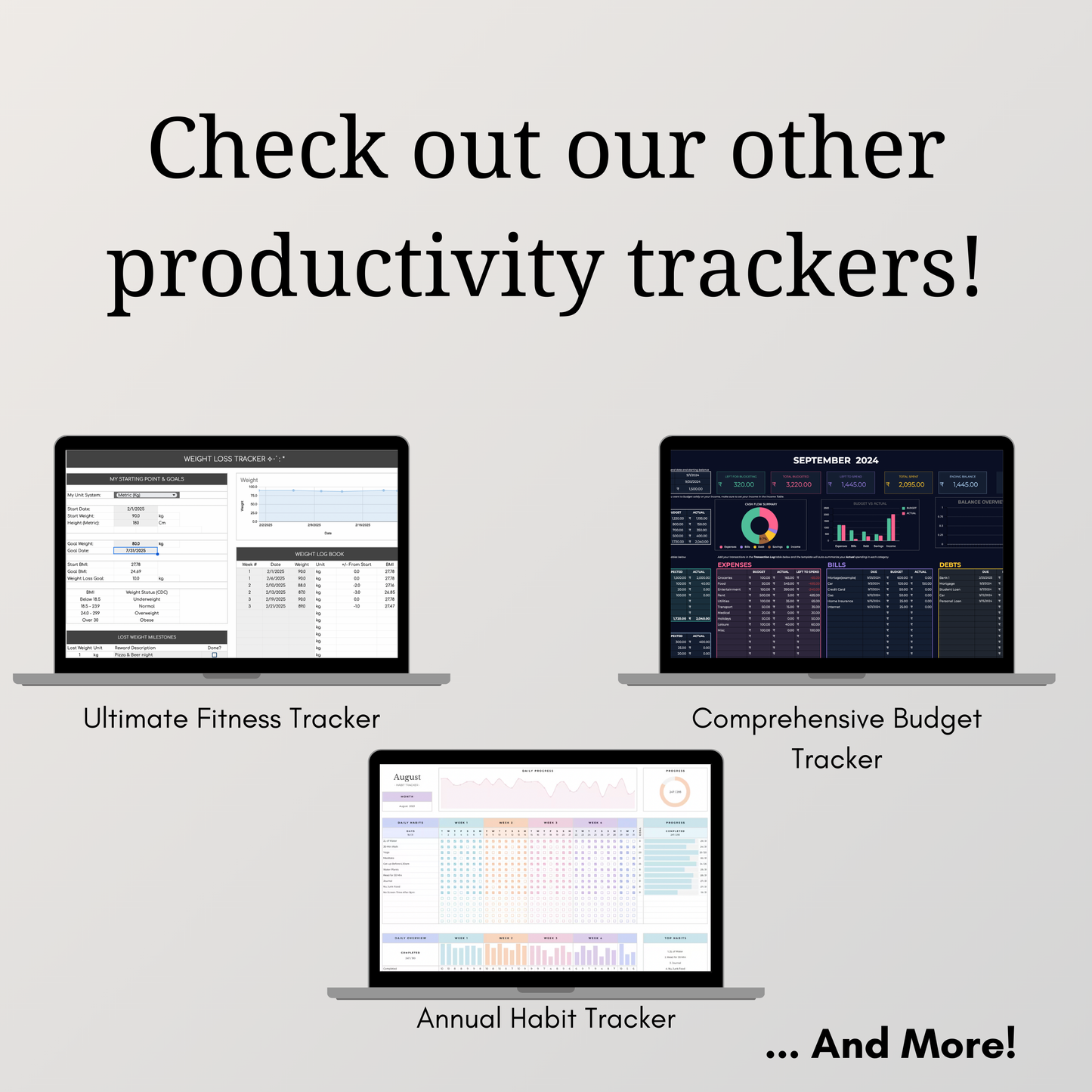 Ultimate Annual Budget Tracker - Multiple Themes