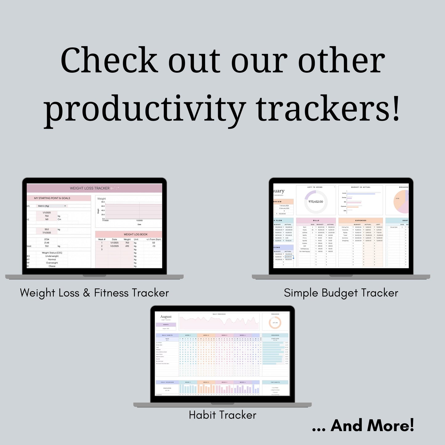 Ultimate Budget Spreadsheet - Daily/Weekly/Monthly/Yearly